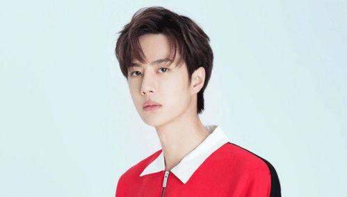 infj明星网红,揭秘内心世界与明星网红的共鸣之旅