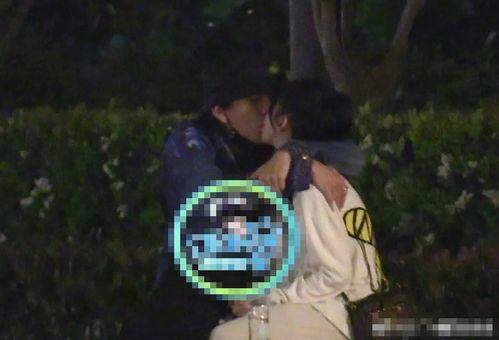 海王明星网红,揭秘网络红人的魅力与影响力