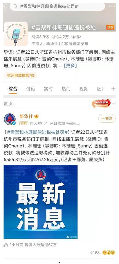 明星网红税务,揭秘娱乐圈背后的税务真相