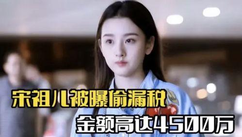 明星网红税务,揭秘娱乐圈背后的税务真相
