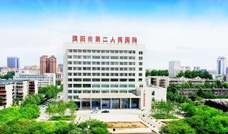 濮阳医学院吃瓜爆料,揭秘校园内幕，真相大白！