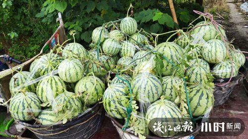 盐城吃瓜爆料是真的吗,真相揭秘，是真是假？
