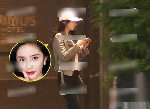 杨幂吃瓜爆料视频大全,揭秘娱乐圈幕后真相