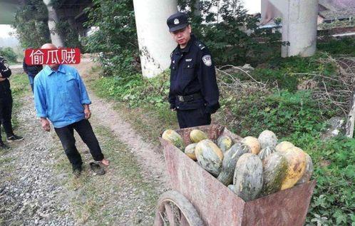 砀山吃瓜最新事件爆料,最新爆料揭示惊人内幕
