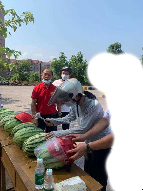 吃瓜最新事件爆料韩城,吃瓜群众揭秘最新事件内幕