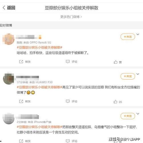 豆瓣吃瓜爆料怎么做,揭秘娱乐圈幕后真相
