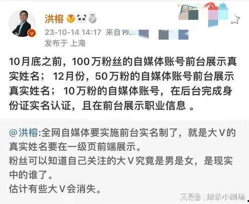 网红明星网址,从网址看他们的网络影响力与粉丝经济