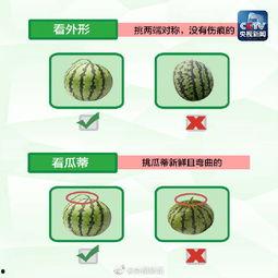 爆料吃瓜模板怎么写的,最新爆料，吃瓜群众速来围观！