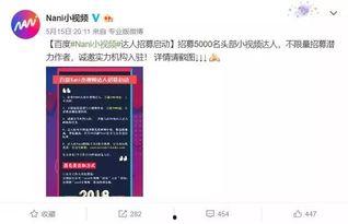 明星网红网址,探寻网络红人的秘密世界