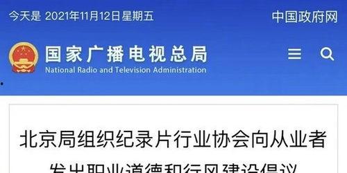 严控明星网红,明星网红行业的新格局与挑战