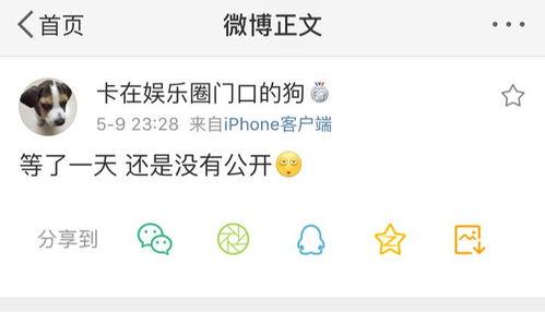头条吃瓜爆料准的号,揭秘娱乐圈幕后真相，准到令人惊叹！