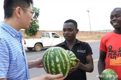网红吃瓜黑科爆料,揭秘娱乐圈背后的惊人真相