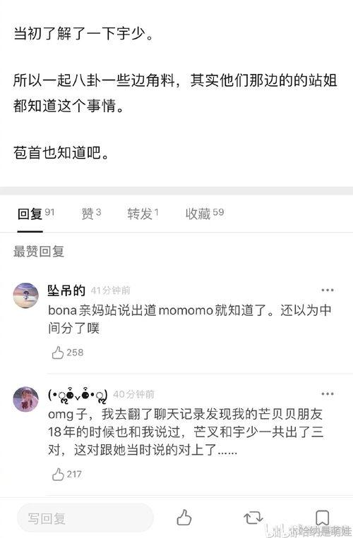 吃瓜爆料在线看全集,揭秘热门事件幕后真相，在线观看全集大揭秘