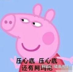 吃瓜爆料小猪图片表情包,小猪表情包萌动来袭！