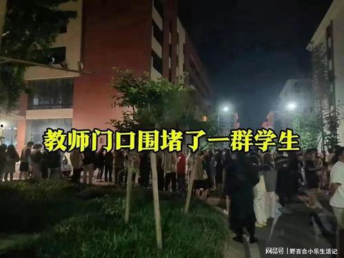 吃瓜爆料 四川传媒,揭秘娱乐圈最新吃瓜爆料，独家揭秘明星幕后故事
