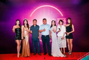 明星网红大赛,明星网红大赛巅峰对决