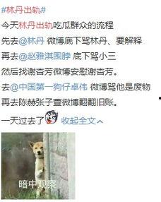 最新出轨吃瓜爆料图片,某明星深夜密会神秘女子，出轨真相浮出水面