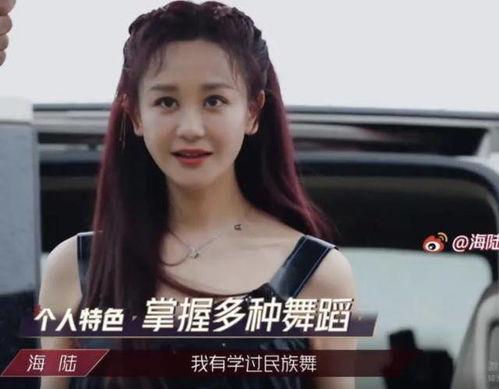 明星网红东西,潮流与影响力的交织