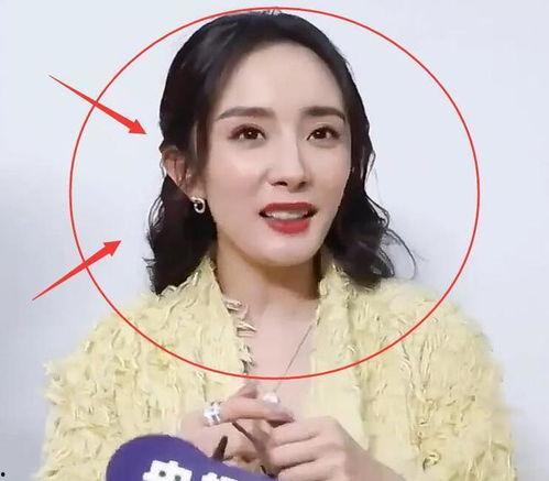 采访明星网红,揭秘明星网红背后的故事与魅力