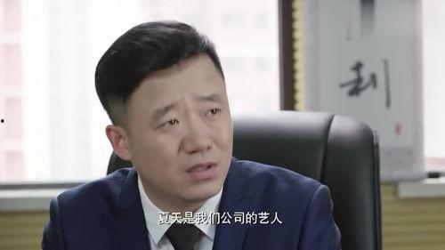 明星网红老板,从荧幕到商界的璀璨蜕变