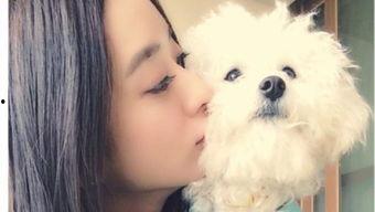 香香公主和爱犬吃瓜爆料,娱乐圈幕后真相曝光