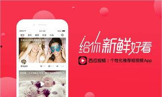 吃瓜爆料视频素材网易,网易视频素材背后的故事