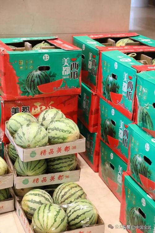 吃瓜最新事件爆料长春,吃瓜群众揭秘最新事件内幕