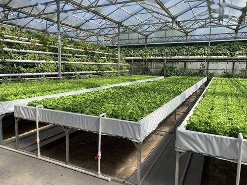 大赛每日一赛吃瓜爆料,揭秘赛场背后的精彩瞬间