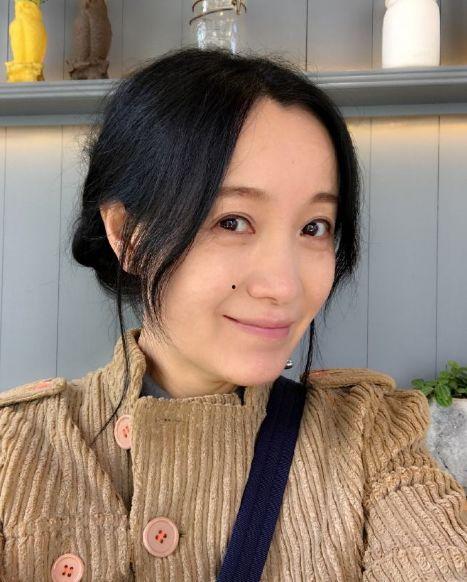 明星网红受骗,网络诈骗背后的惊心故事