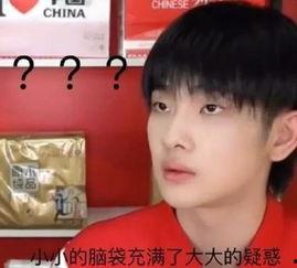 明星网红斗南,明星网红的跨界争霸战