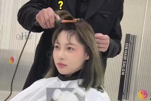 明星网红路人,从网红到明星的蜕变之路