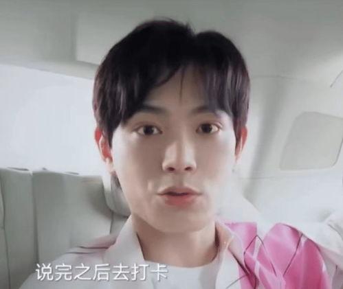 明星网红路人,从网红到明星的蜕变之路