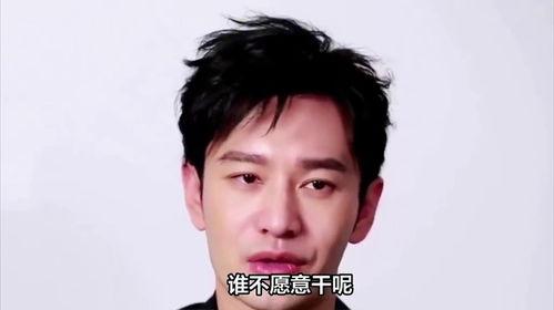 河北明星网红,闪耀网络的新星力量