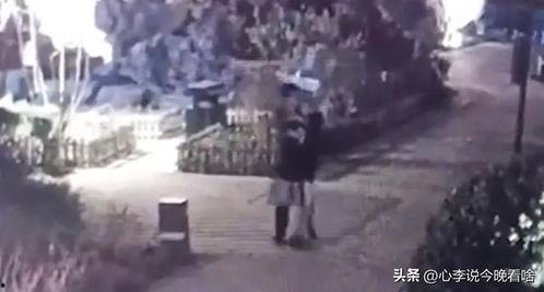 大连爆料吃瓜事件视频曝光,吃瓜视频揭露惊人内幕