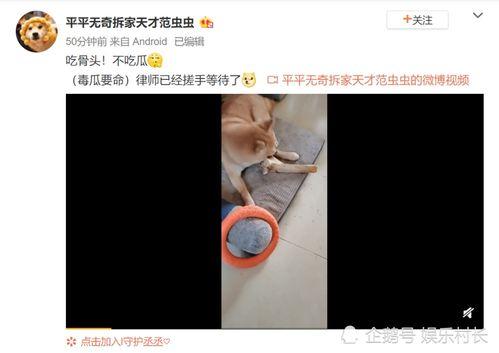 男网红吃瓜爆料视频,男网红吃瓜爆料视频背后的惊人真相