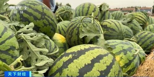 吃瓜大白爆料全过程,揭秘娱乐圈幕后真相