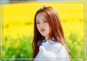 明星网红拍摄,揭秘明星网红幕后拍摄秘籍