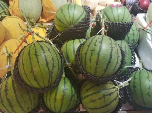 海南吃瓜爆料是真的吗,真相还是谣言？