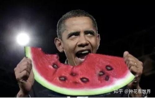 911红领巾爆料吃瓜明星,911红领巾爆料，吃瓜明星背后的惊人真相