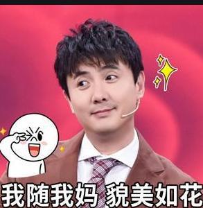 沈腾爆料吃瓜事件视频,一场娱乐圈的“瓜田”风云