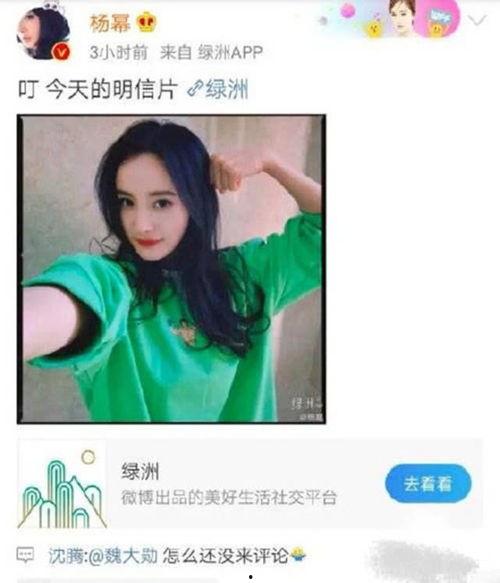 沈腾爆料吃瓜事件视频,一场娱乐圈的“瓜田”风云