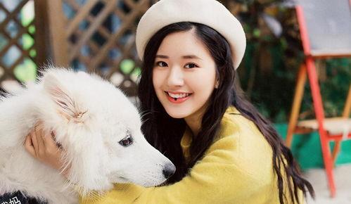 明星网红驿站,揭秘网红明星的聚集地与互动盛宴