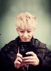 聊城明星网红,明星级影响力人物盘点