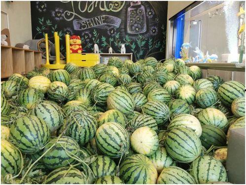 阜阳吃瓜最新事件爆料,揭秘背后惊人真相