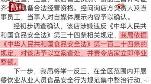 吃瓜爆料视频素材网,视频素材网的秘密世界