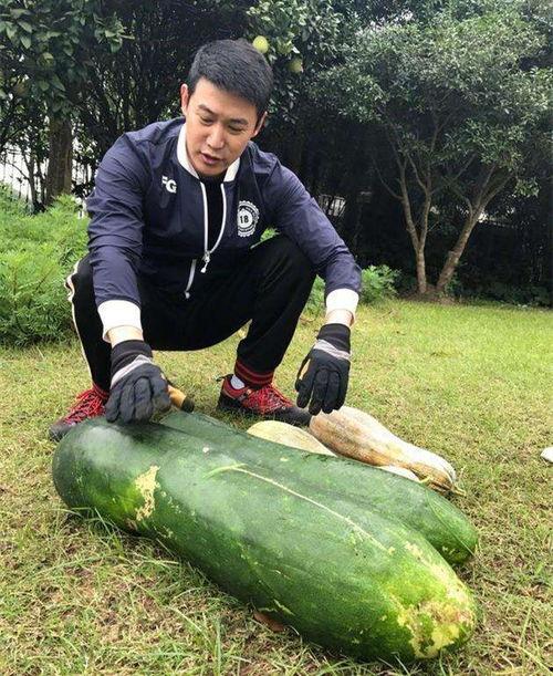 关于烛签的吃瓜爆料,吃瓜爆料背后的真相与内幕