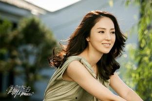 明星网红作品,明星网红作品背后的魅力解析