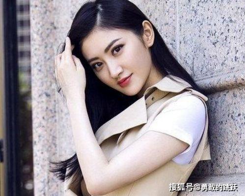 明星网红作品,明星网红作品背后的魅力解析