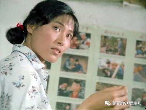 明星网红村,揭秘网络红人与乡村发展的新篇章