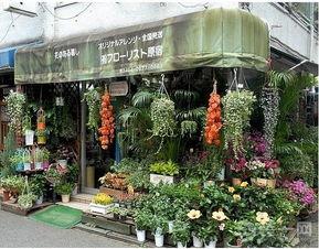 唐山花店吃瓜爆料社区,吃瓜爆料社区背后的故事